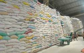 Kiểm tra việc mua tạm trữ lúa, gạo